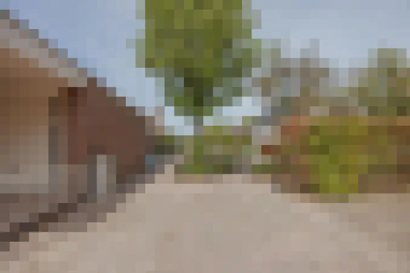 Anna Bijnsplein 6 Raamsdonksveer thumbnail 7