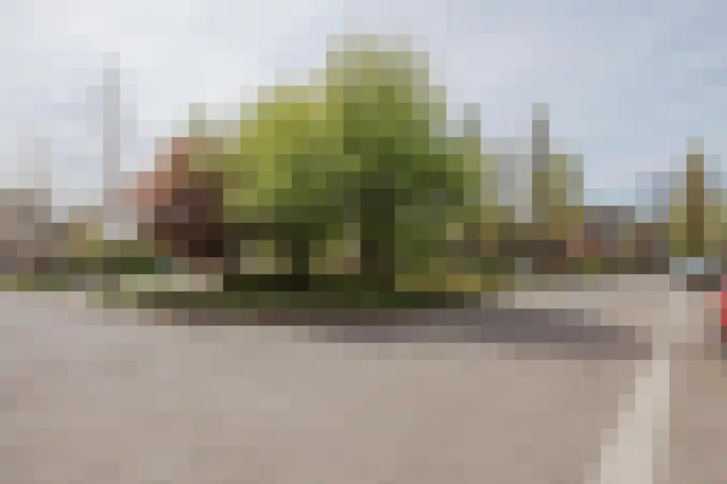 Anna Bijnsplein 6 Raamsdonksveer thumbnail 9