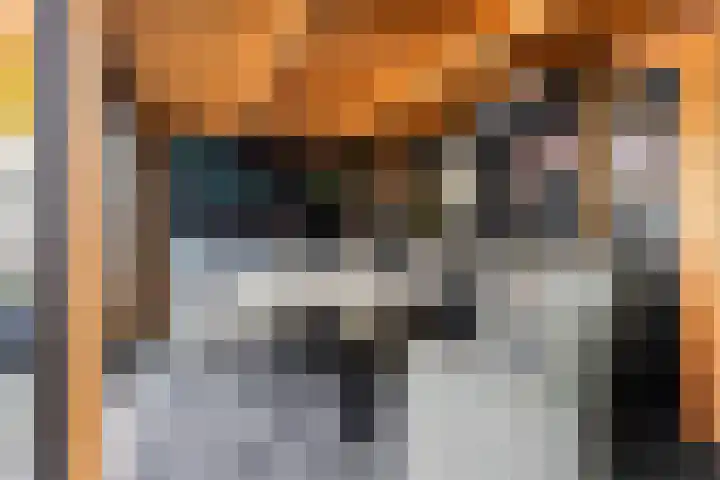 Anna Bijnsring 230 Apeldoorn thumbnail 15