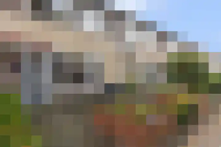 Anna Bijnsring 230 Apeldoorn thumbnail 17