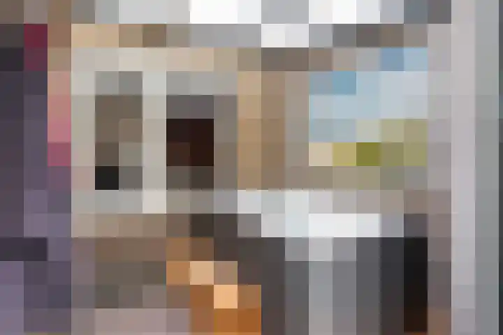 Anna Bijnsring 230 Apeldoorn thumbnail 7