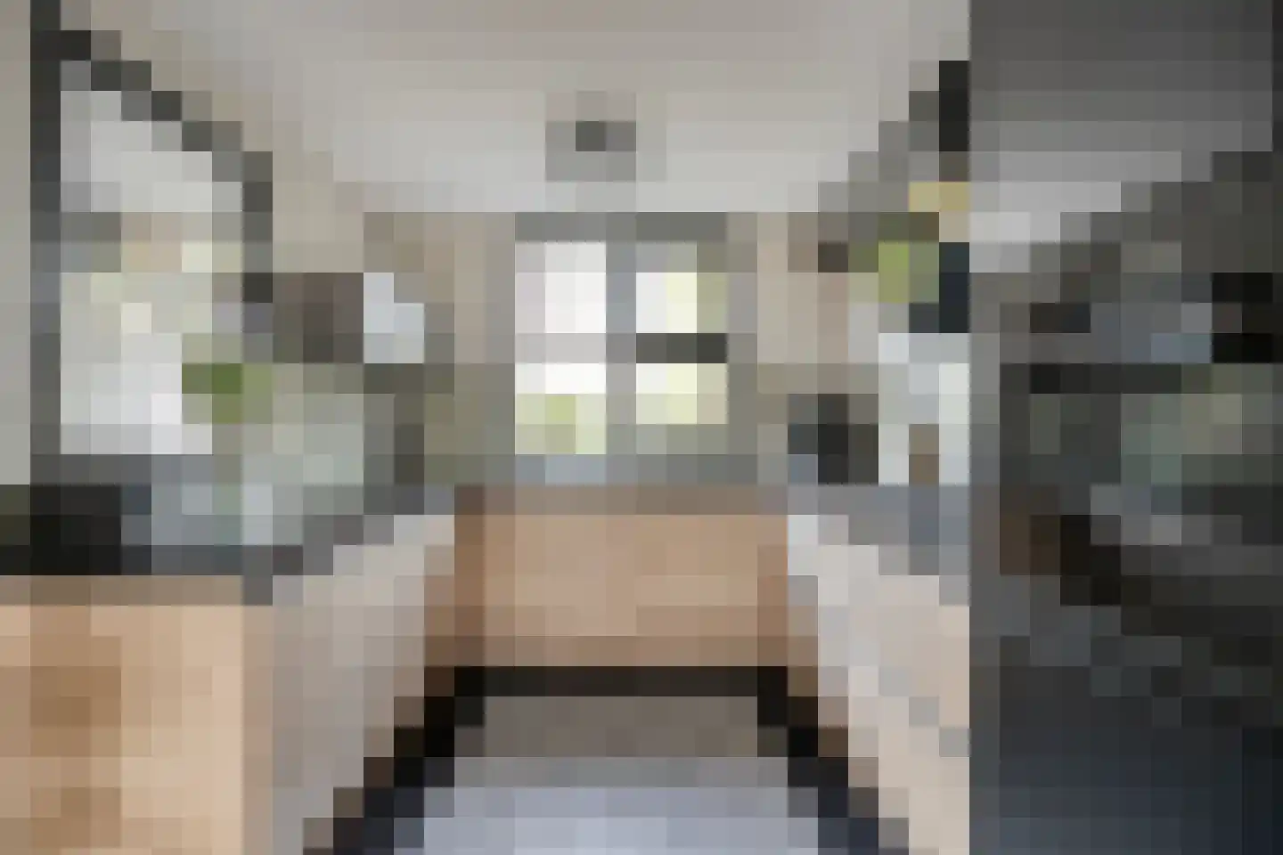Anna Bijnsstraat 12 Lisse thumbnail 16