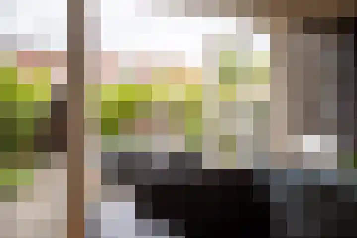 Anna Bijnsstraat 16 Castricum thumbnail 19