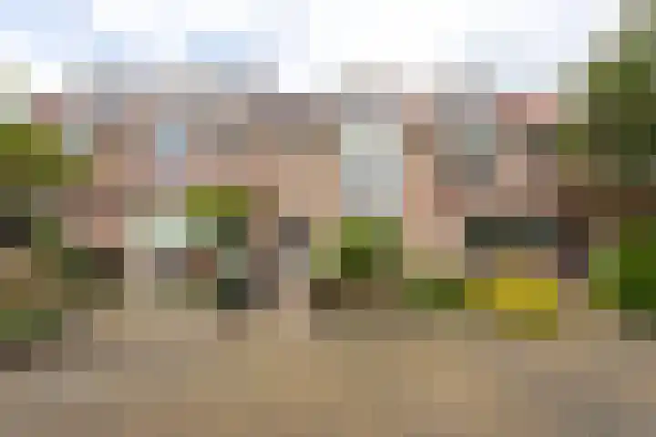Anna Bijnsstraat 16 Castricum thumbnail 73