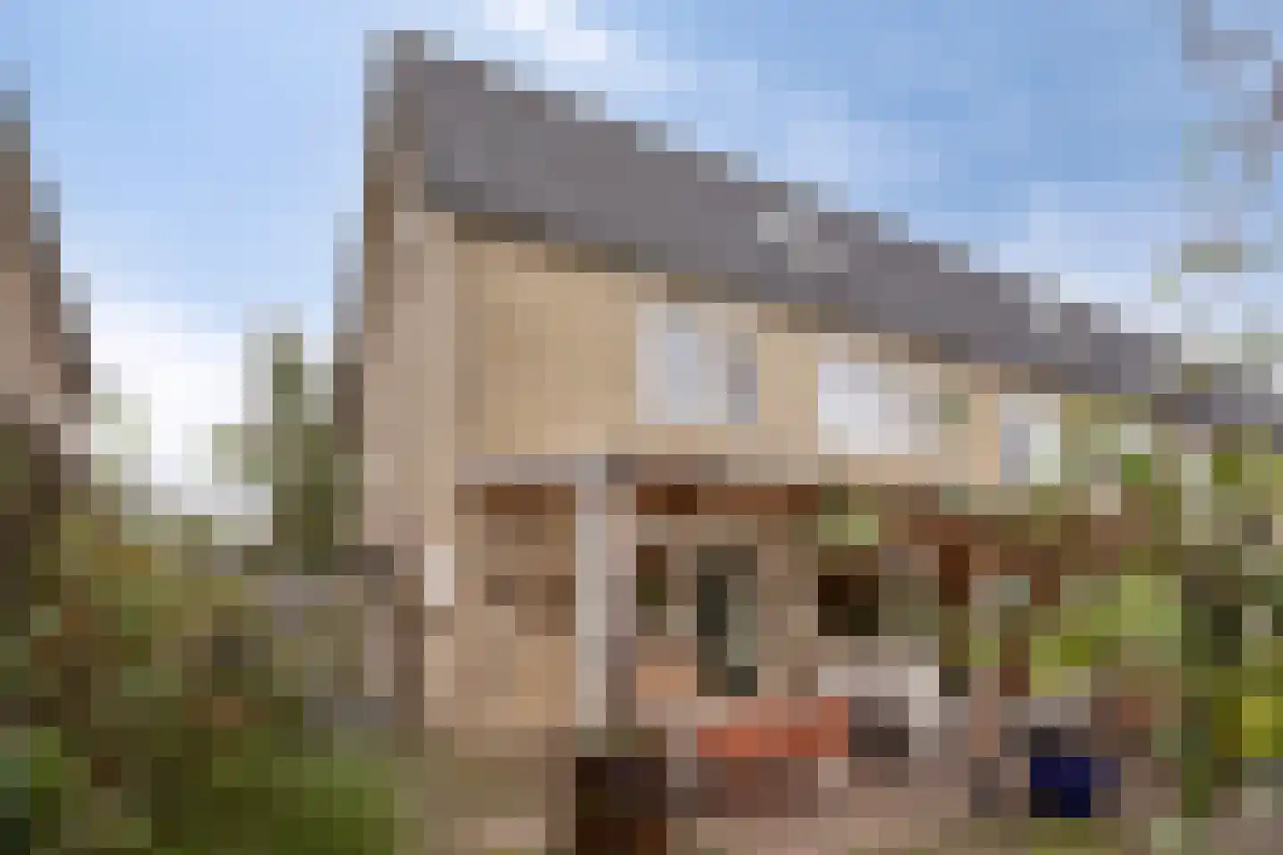 Anna Bijnsstraat 19 Hengelo thumbnail 28