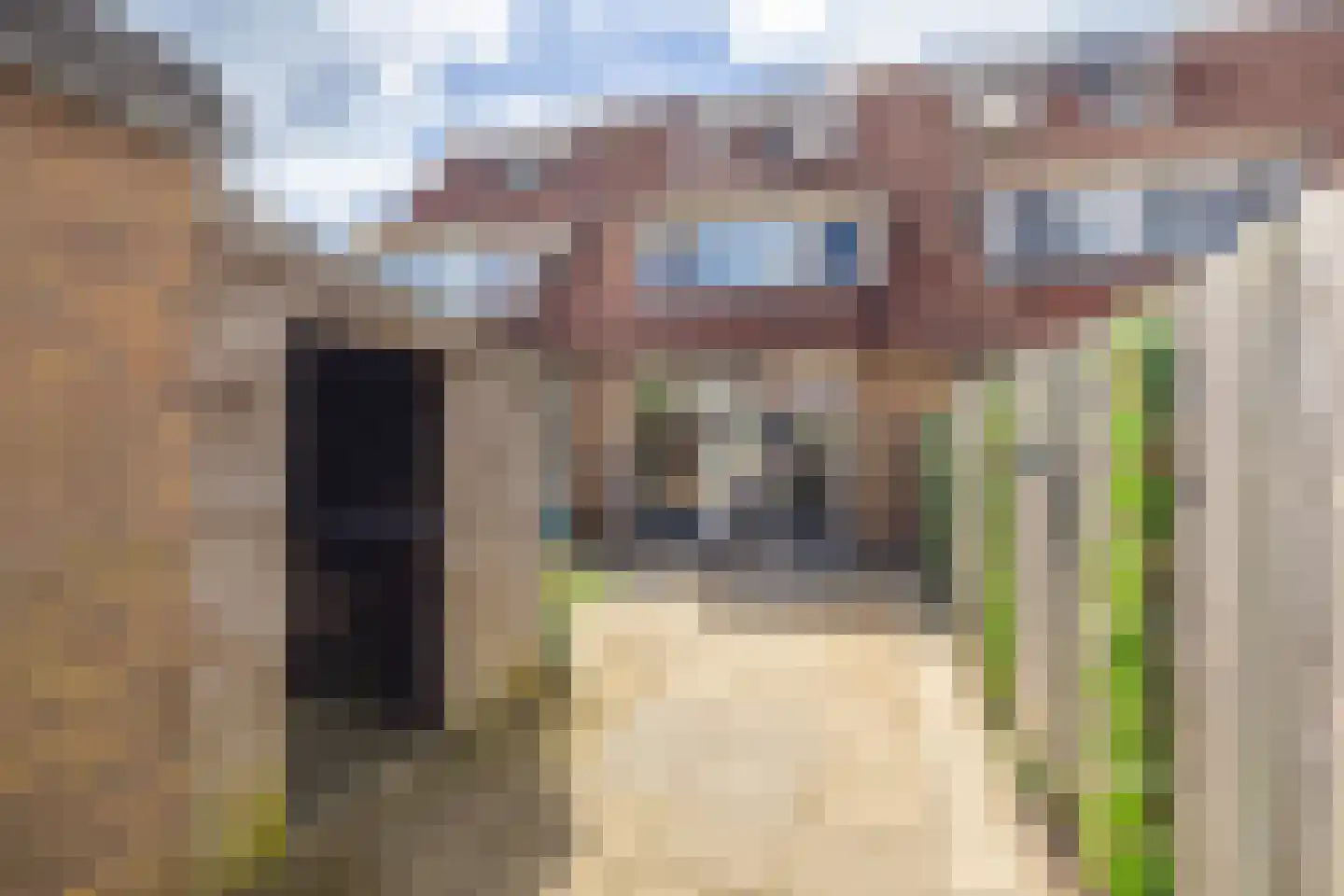 Anna Bijnsstraat 4 Gorinchem thumbnail 7