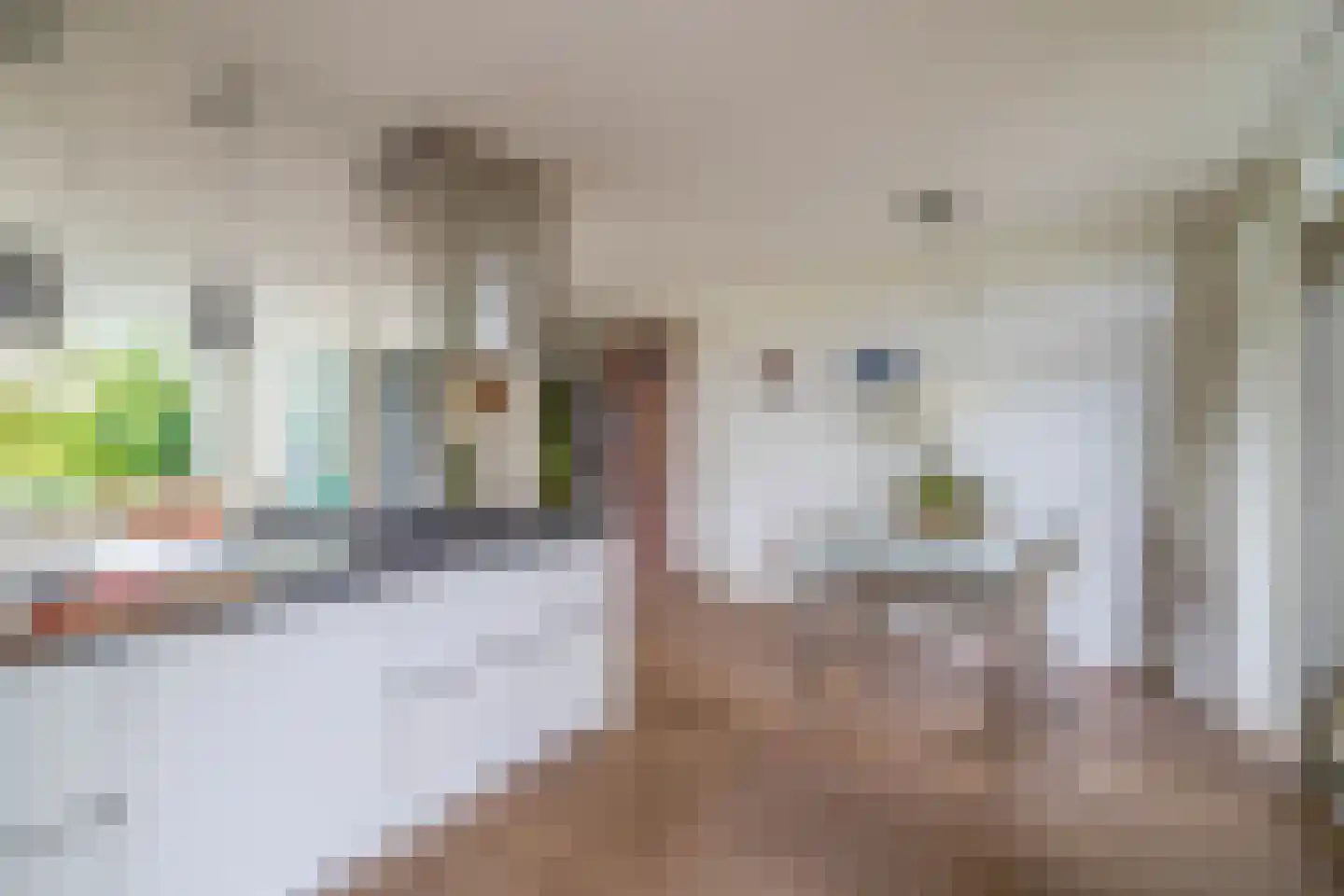 Anna Bijnsstraat 7 Lisse thumbnail 12