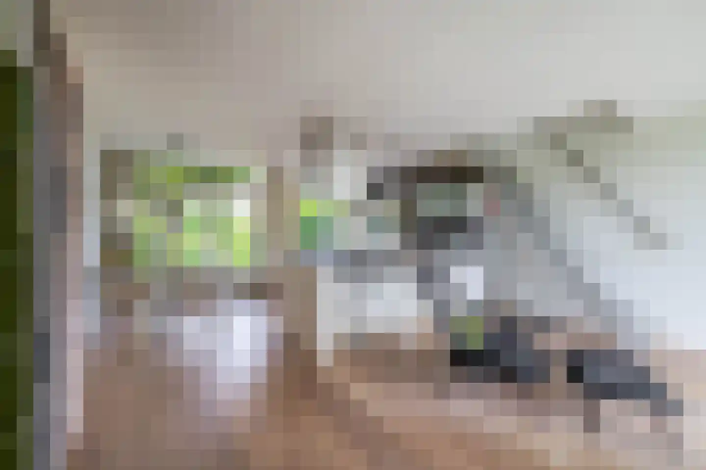 Anna Bijnsstraat 7 Lisse thumbnail 5