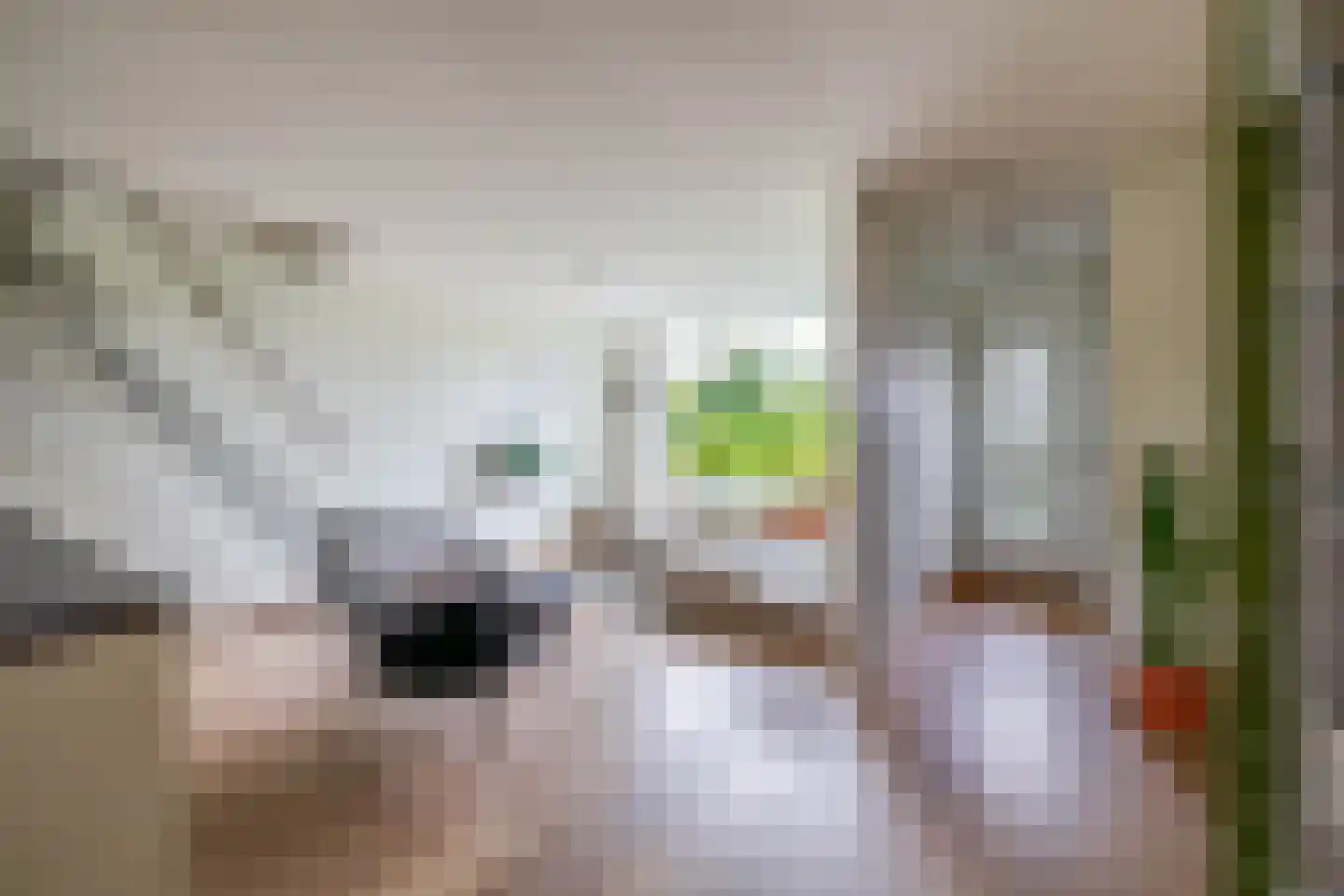 Anna Bijnsstraat 7 Lisse thumbnail 6