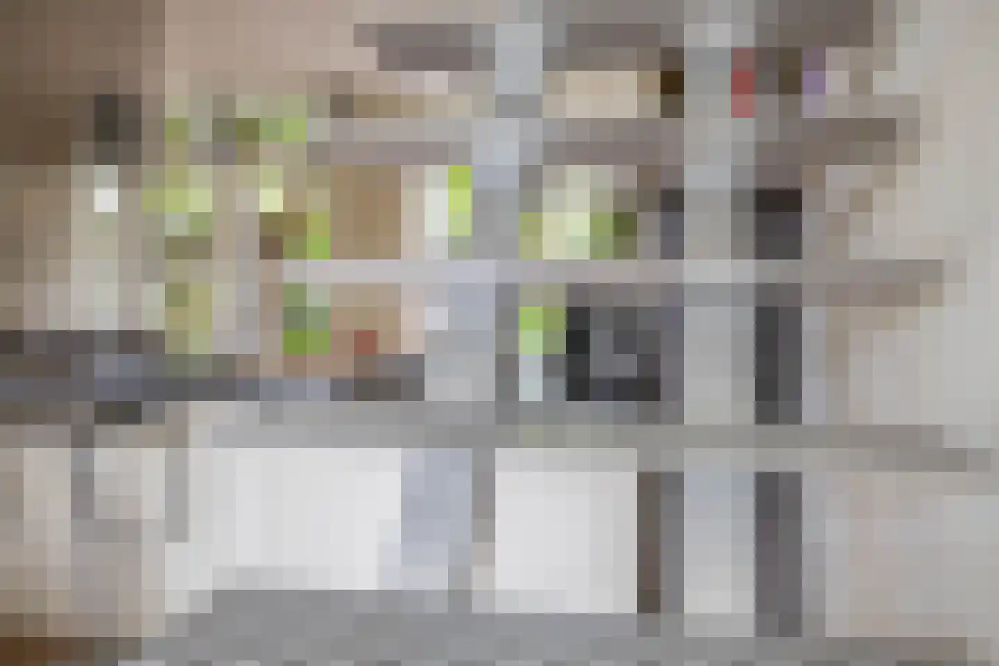 Anna Bijnsstraat 7 Lisse thumbnail 9