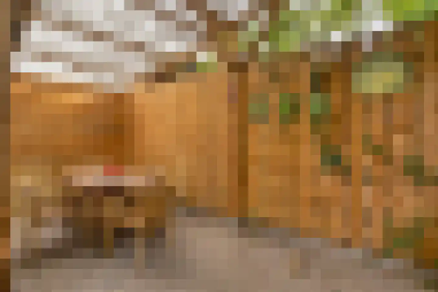 Anna Bijnsweg 6 Eindhoven thumbnail 36