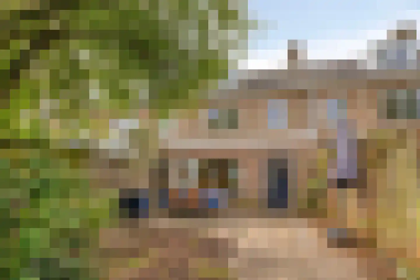 Anna Bijnsweg 6 Eindhoven thumbnail 38