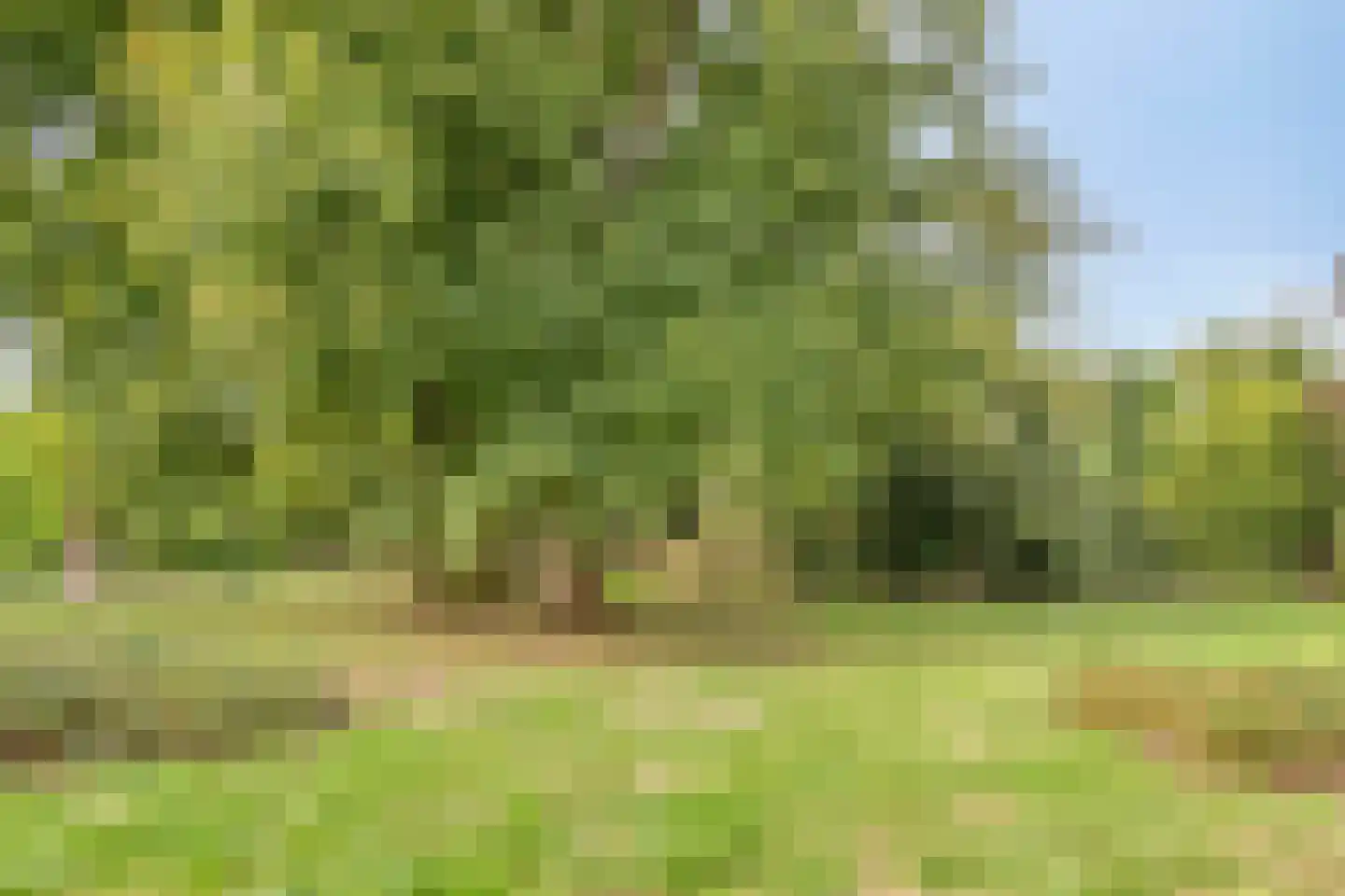Anna Bijnsweg 6 Eindhoven thumbnail 40