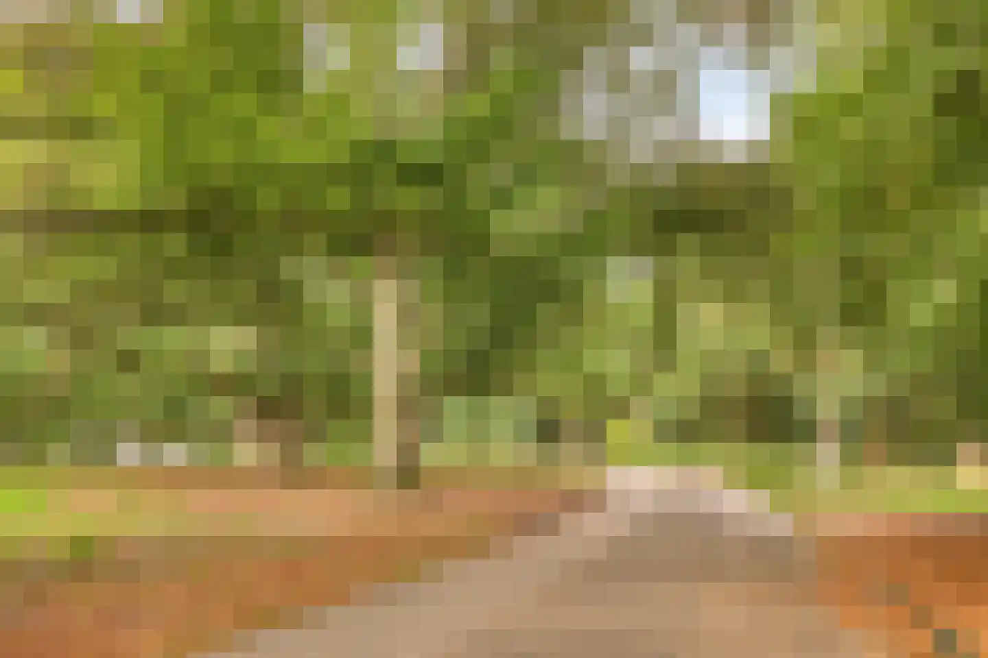 Anna Bijnsweg 6 Eindhoven thumbnail 41