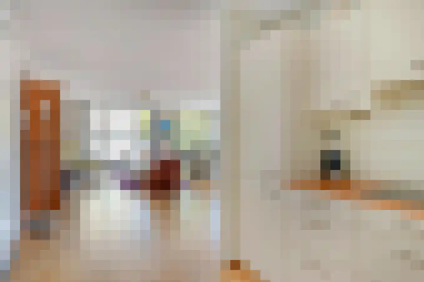 Anna Bijnsweg 7 Eindhoven thumbnail 16