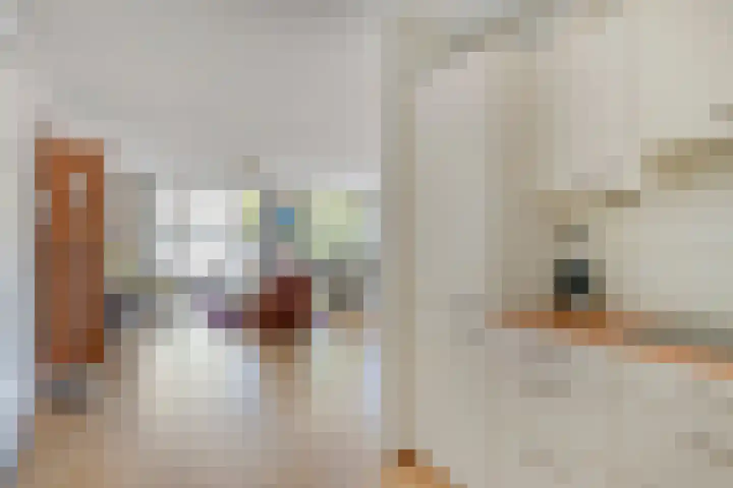 Anna Bijnsweg 7 Eindhoven thumbnail 19