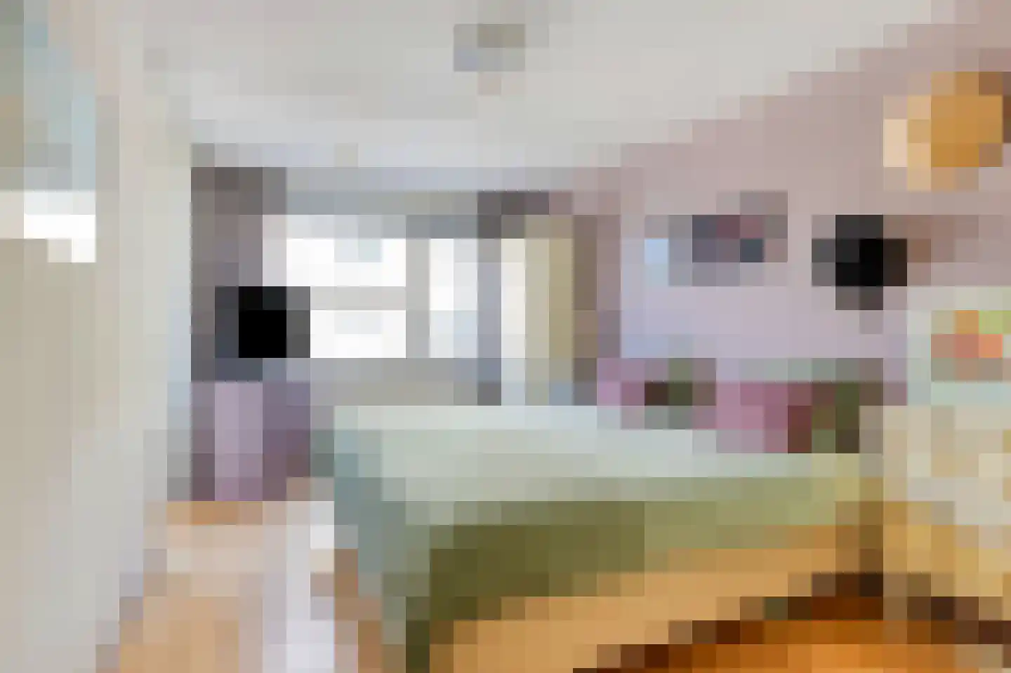 Anna Bijnsweg 7 Eindhoven thumbnail 20