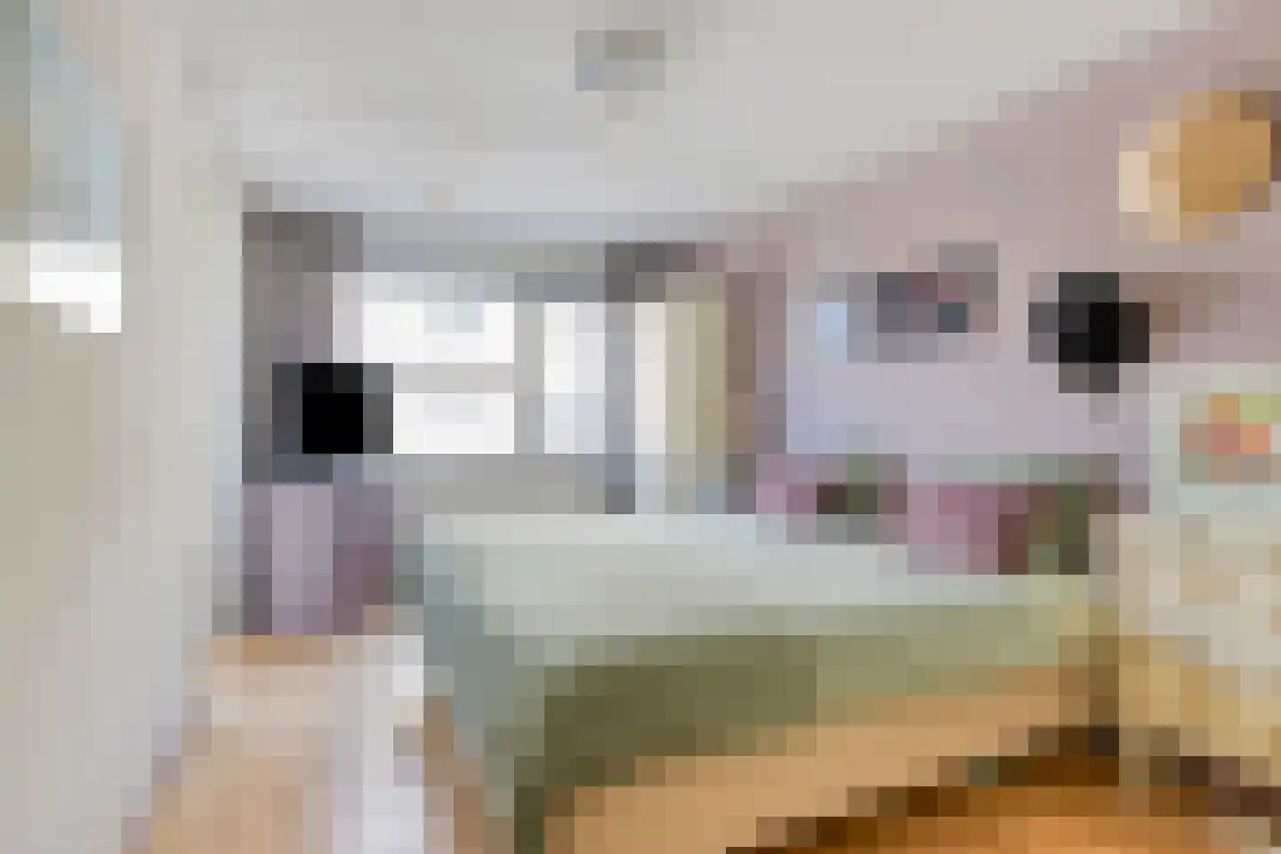 Anna Bijnsweg 7 Eindhoven thumbnail 21