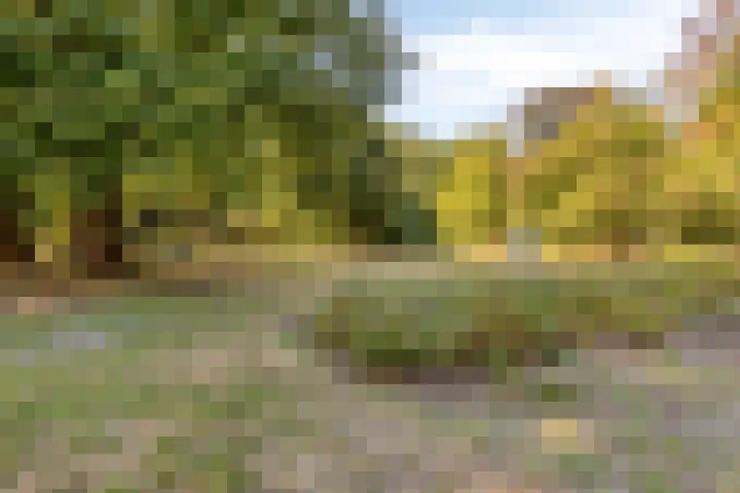Anna Bijnsweg 7 Eindhoven thumbnail 29