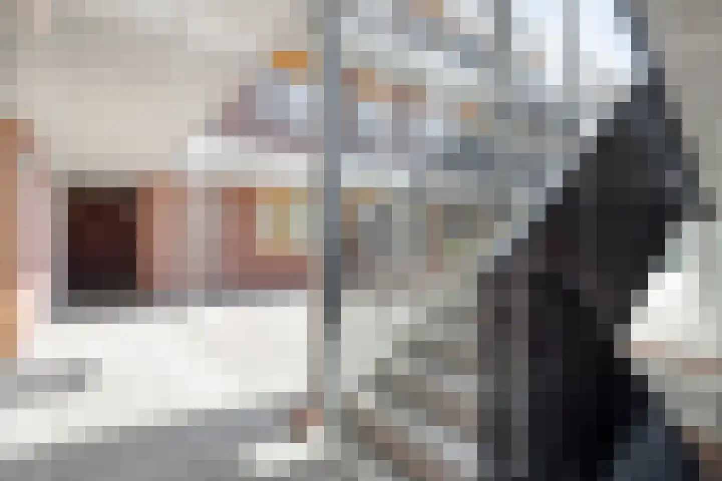 Anna Bijnsweg 7 Eindhoven thumbnail 9