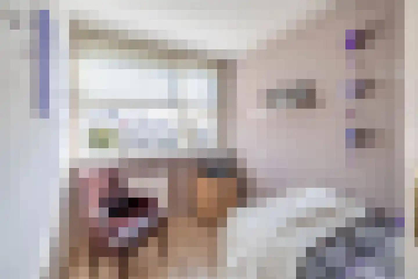 Anna Blamandreef 20 Lisse thumbnail 14
