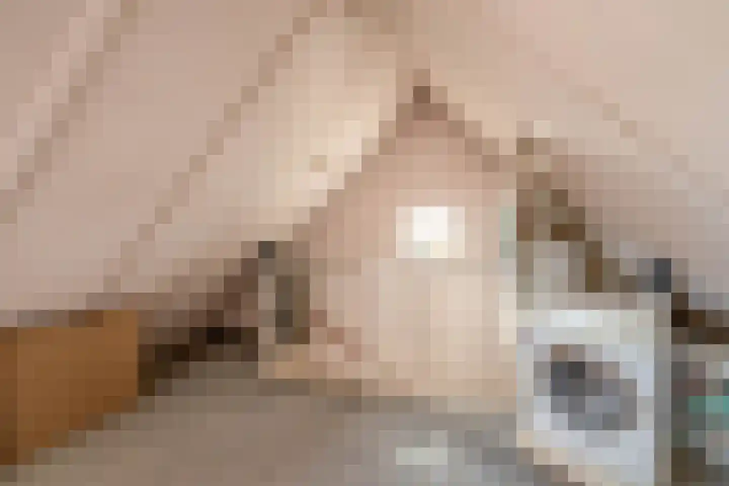 Anna Blamandreef 20 Lisse thumbnail 22