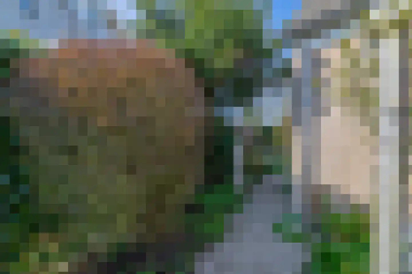 Anna Blamandreef 20 Lisse thumbnail 30
