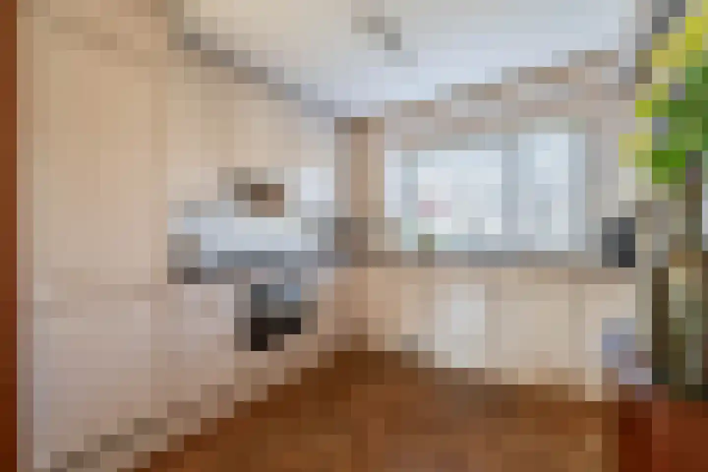 Anna Blamandreef 20 Lisse thumbnail 8