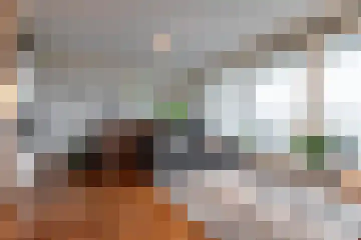 Anna Blamanhof 81 Heemskerk thumbnail 12