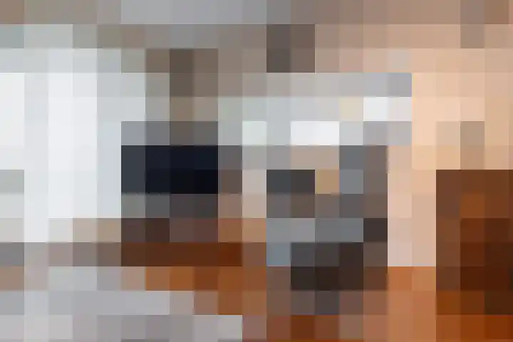Anna Blamanhof 81 Heemskerk thumbnail 13