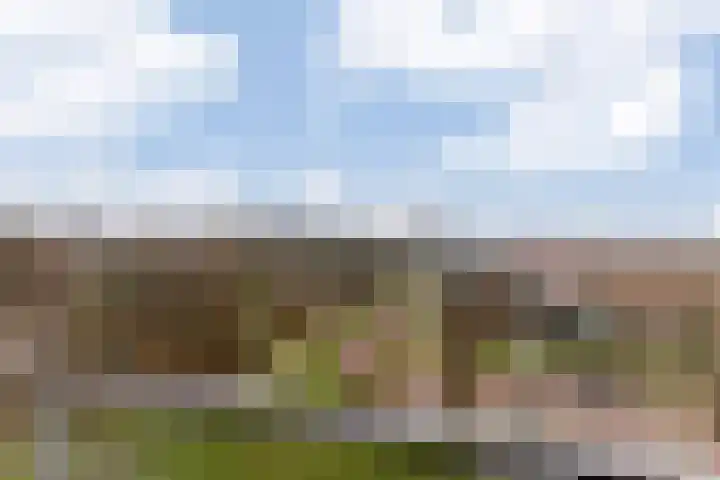 Anna Blamanhof 81 Heemskerk thumbnail 35