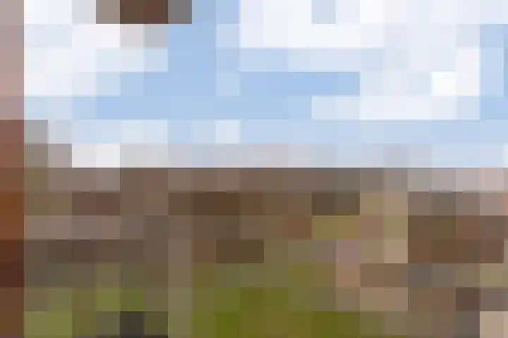 Anna Blamanhof 81 Heemskerk thumbnail 36