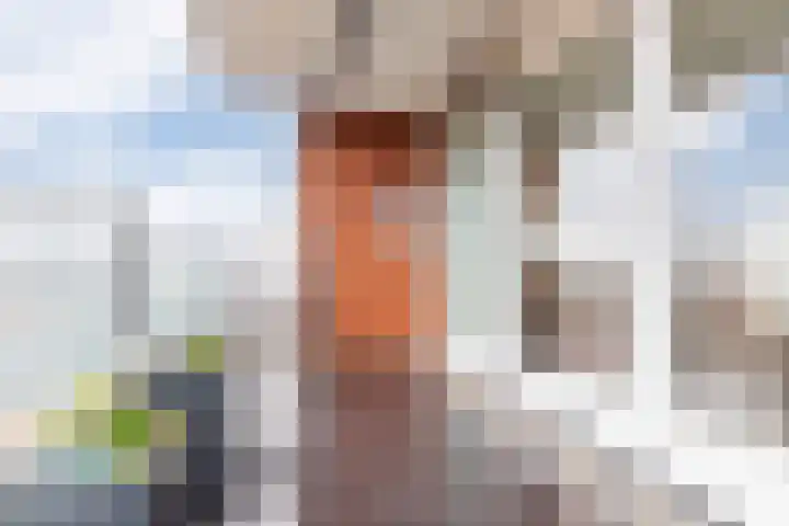 Anna Blamanhof 81 Heemskerk thumbnail 37