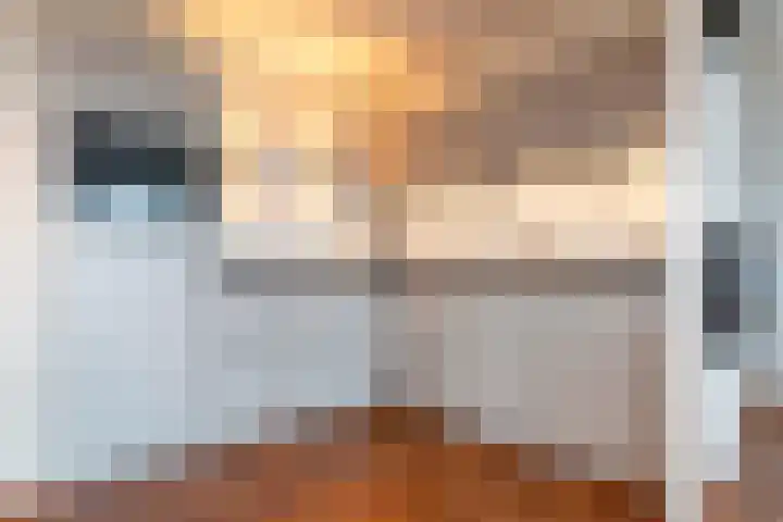 Anna Blamanhof 81 Heemskerk thumbnail 6