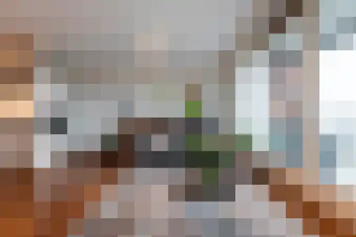 Anna Blamanhof 81 Heemskerk thumbnail 9