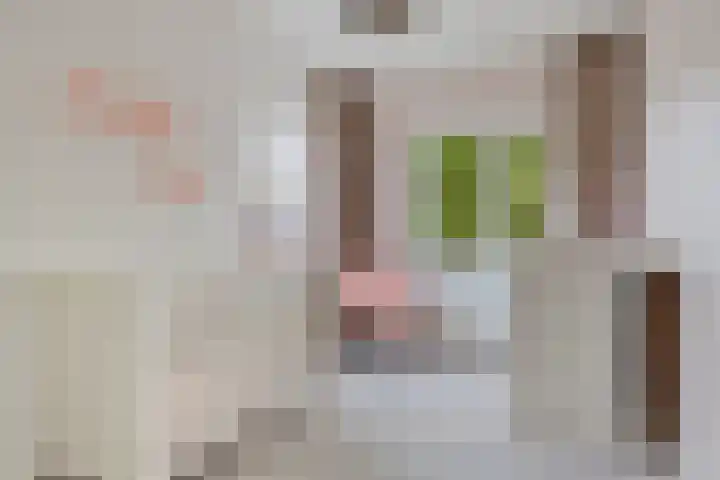 Anna Blamanlaan 10 Harderwijk thumbnail 16
