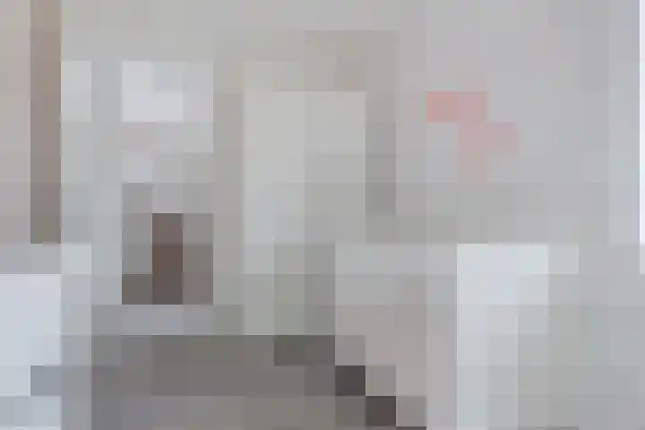 Anna Blamanlaan 10 Harderwijk thumbnail 17
