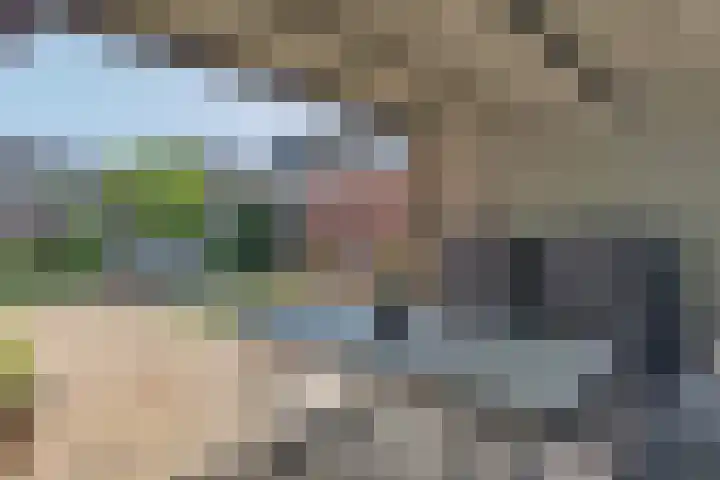 Anna Blamanlaan 10 Harderwijk thumbnail 32