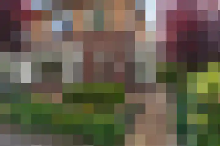 Anna Blamanlaan 10 Harderwijk thumbnail 5