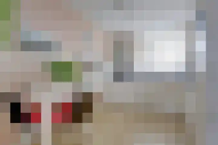 Anna Blamanlaan 10 Vlissingen thumbnail 10