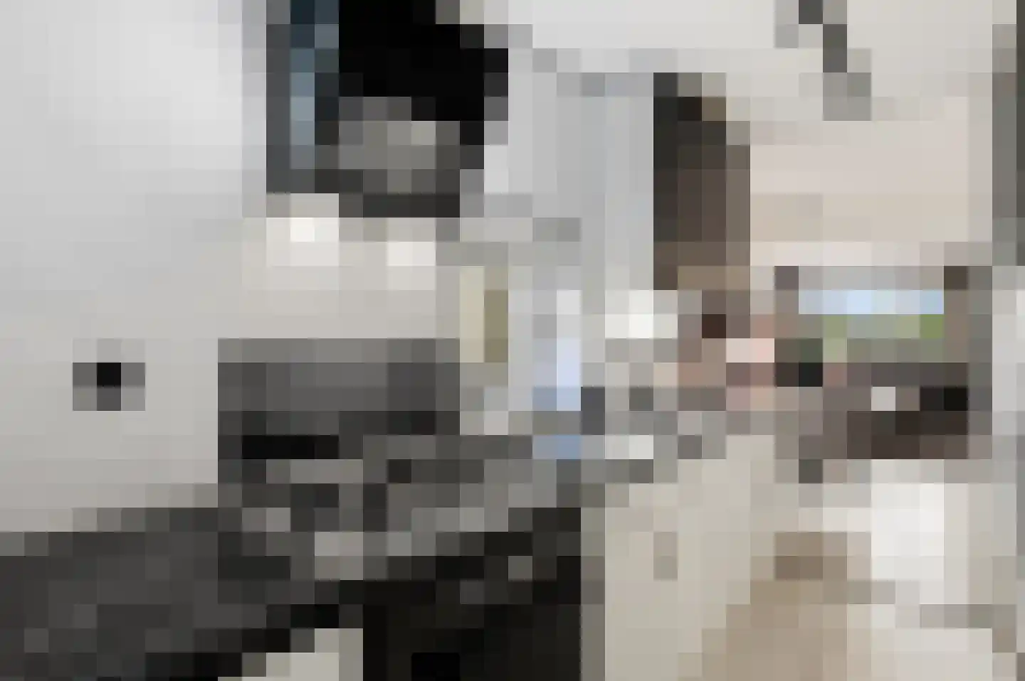 Anna Blamanlaan 120 Vlissingen thumbnail 25