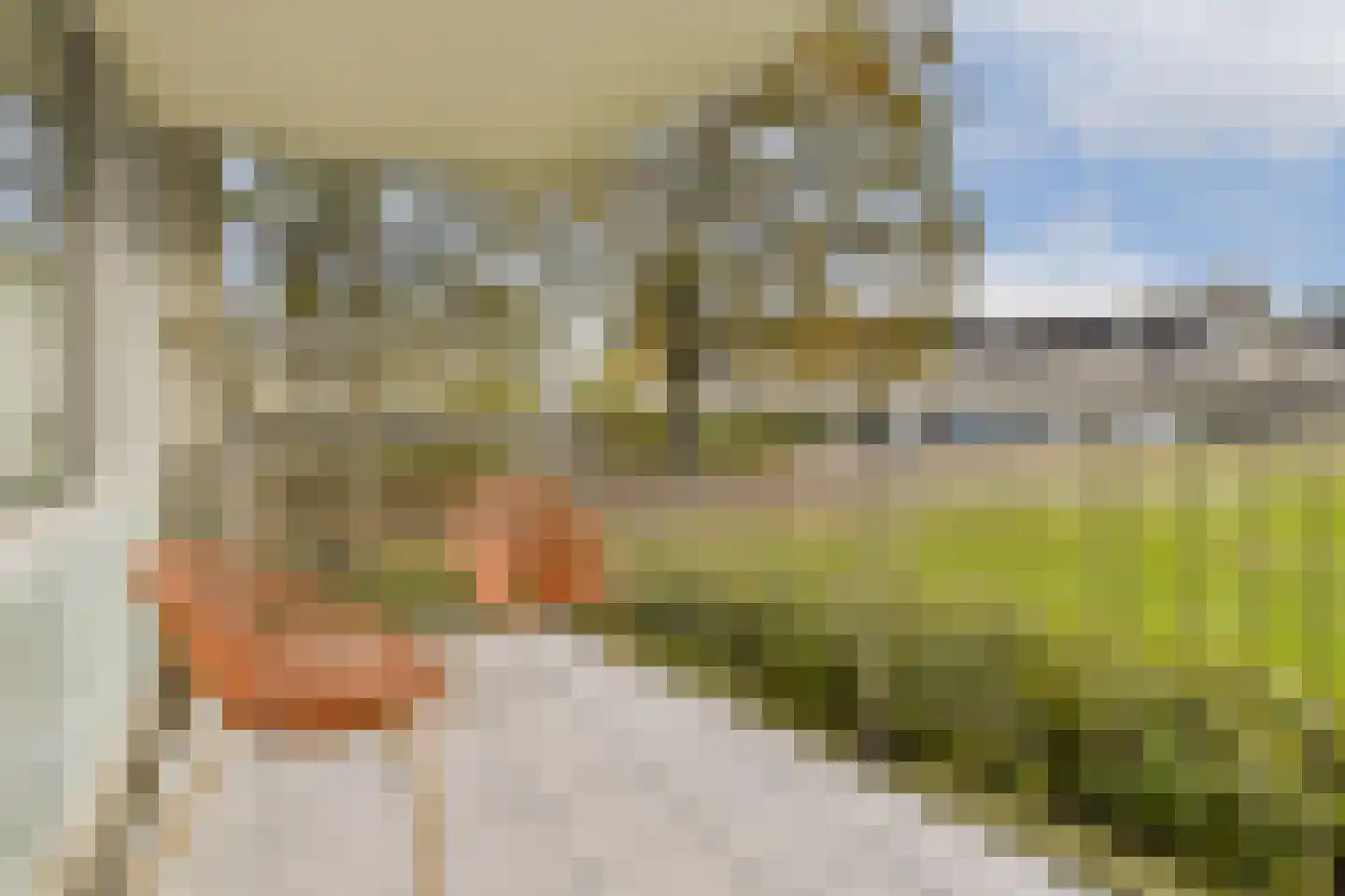 Anna Blamanlaan 19 Amstelveen thumbnail 10
