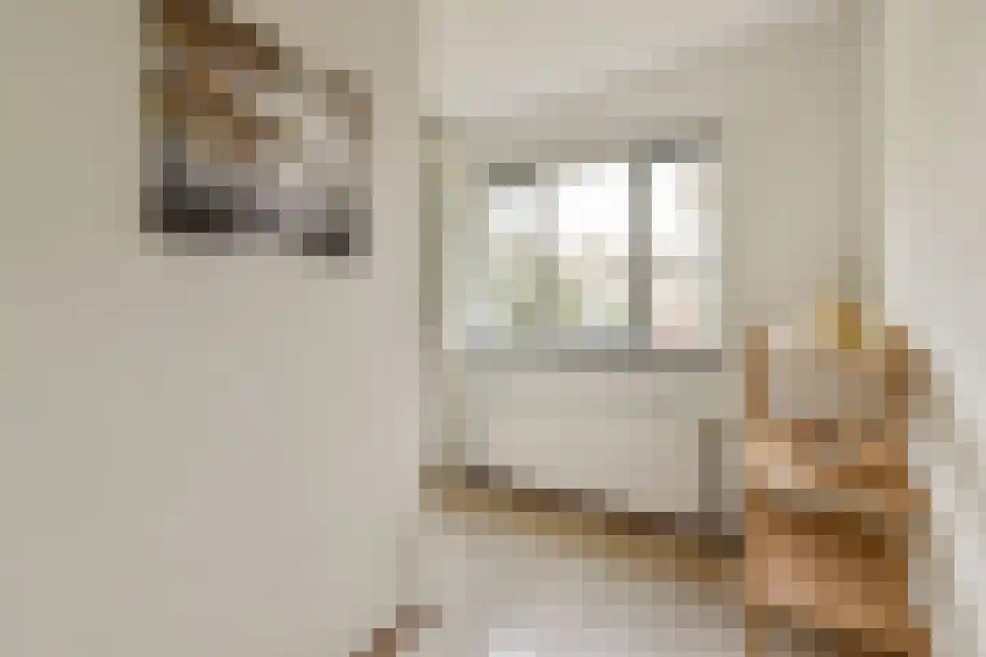 Anna Blamanlaan 19 Amstelveen thumbnail 15