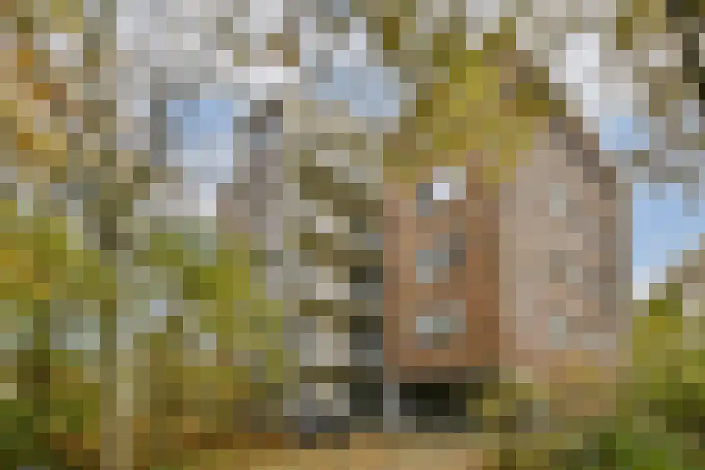 Anna Blamanlaan 19 Amstelveen thumbnail 27