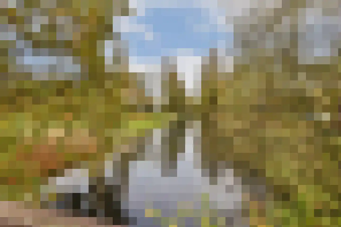Anna Blamanlaan 19 Amstelveen thumbnail 32