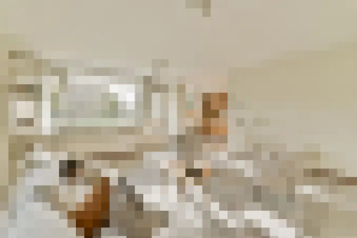 Anna Blamanlaan 19 Amstelveen thumbnail 7