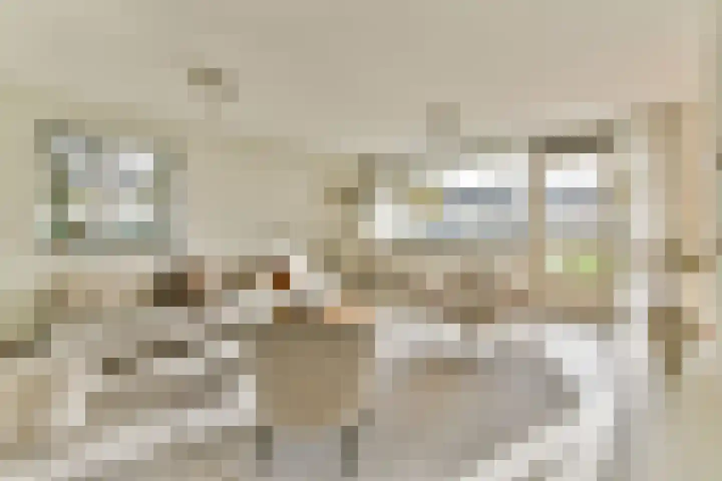 Anna Blamanlaan 19 Amstelveen thumbnail 8