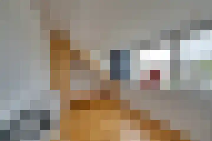 Anna Blamanlaan 20 Uithoorn thumbnail 38
