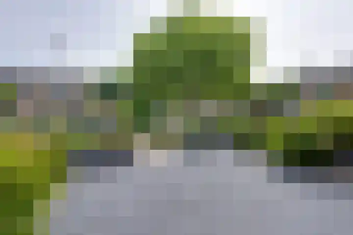 Anna Blamanlaan 20 Uithoorn thumbnail 7