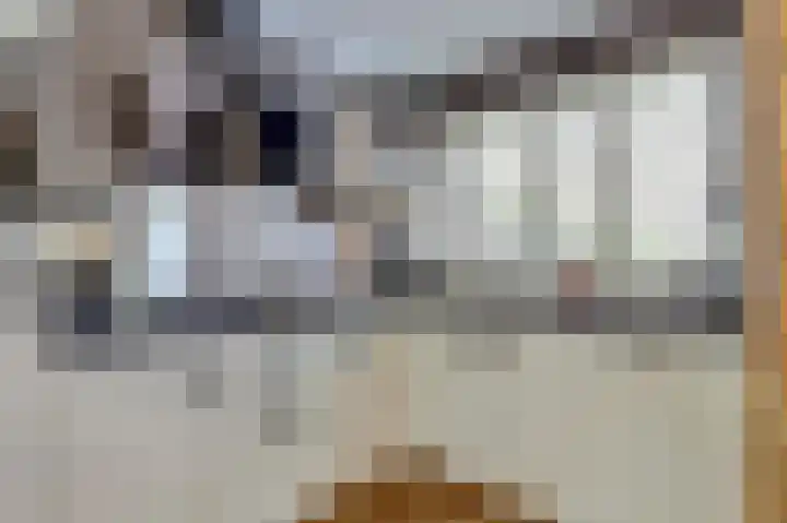Anna Blamanlaan 22 Uithoorn thumbnail 17